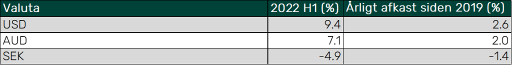 halvaar2022 valuta stor